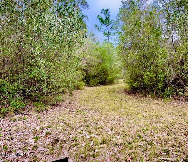 15429 Indian Fork Road Vancleave, MS 39565 - Photo 26 of 63 Trails Abound