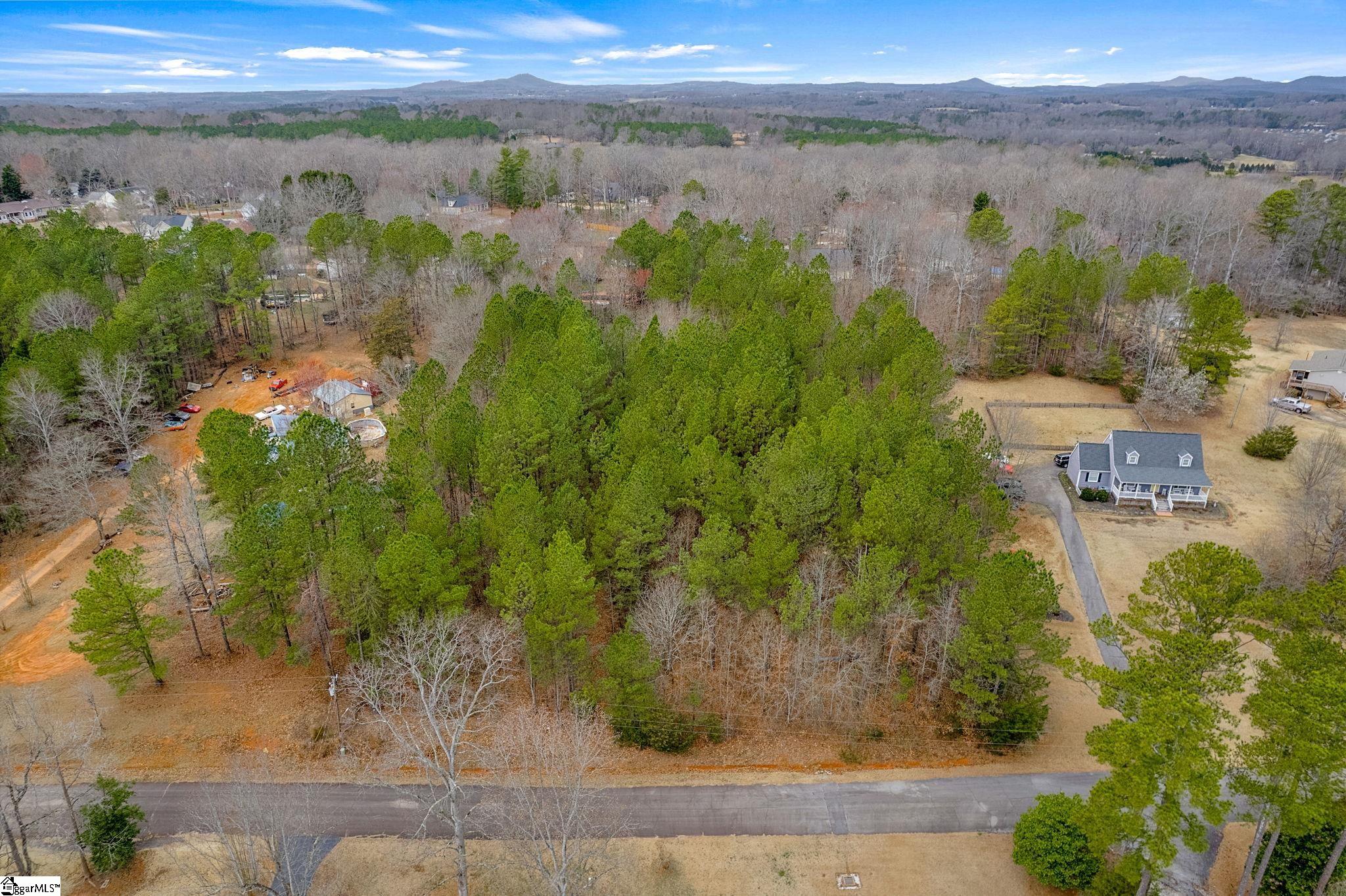 223 Huntington Drive Liberty, SC 29657 - Photo 6 of 12
