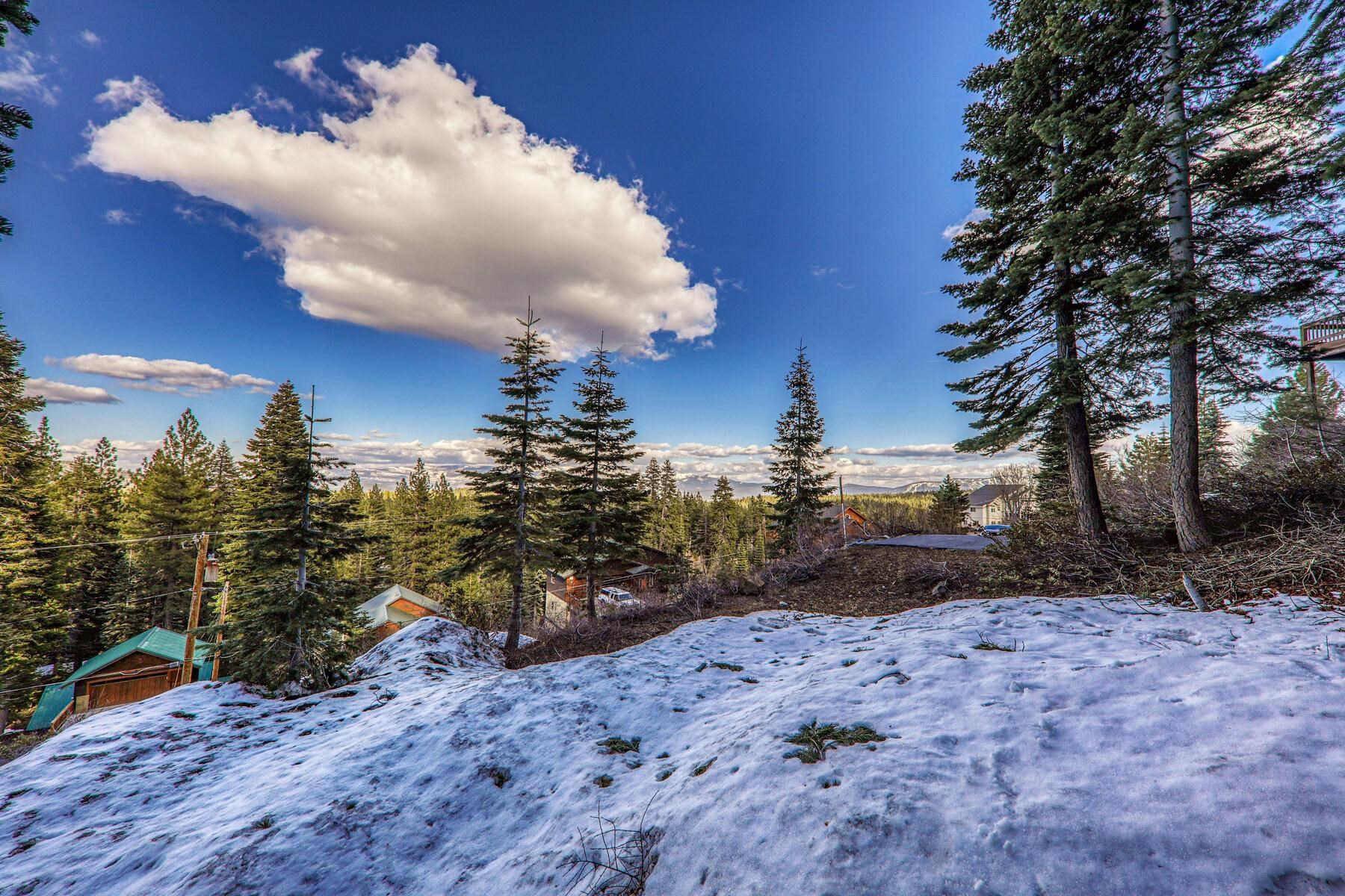 11910 Rhineland Avenue Truckee, CA 96161 - Photo 7 of 24 a view of a backyard with large trees
