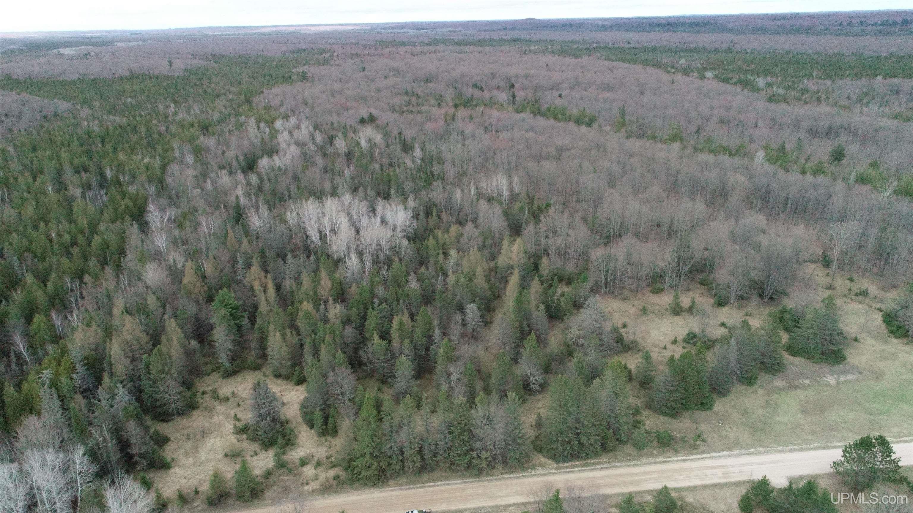 Tbd 38 Road Rapid River, MI 49878 - Photo 3 of 5