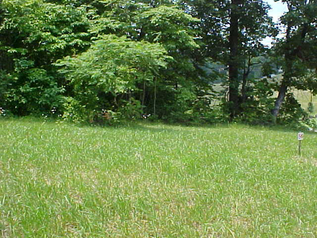 Lot 55 Cherokee Drive Rutledge, TN 37861 - Photo 2 of 3 Lot 55 (1)