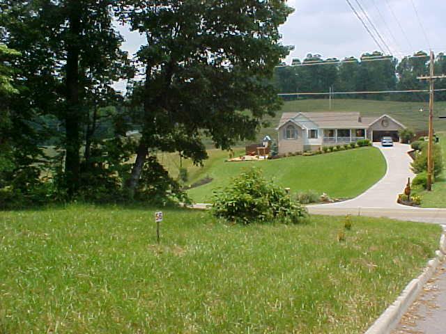 Lot 55 Cherokee Drive Rutledge, TN 37861 - Photo 3 of 3 Lot 55 (2)
