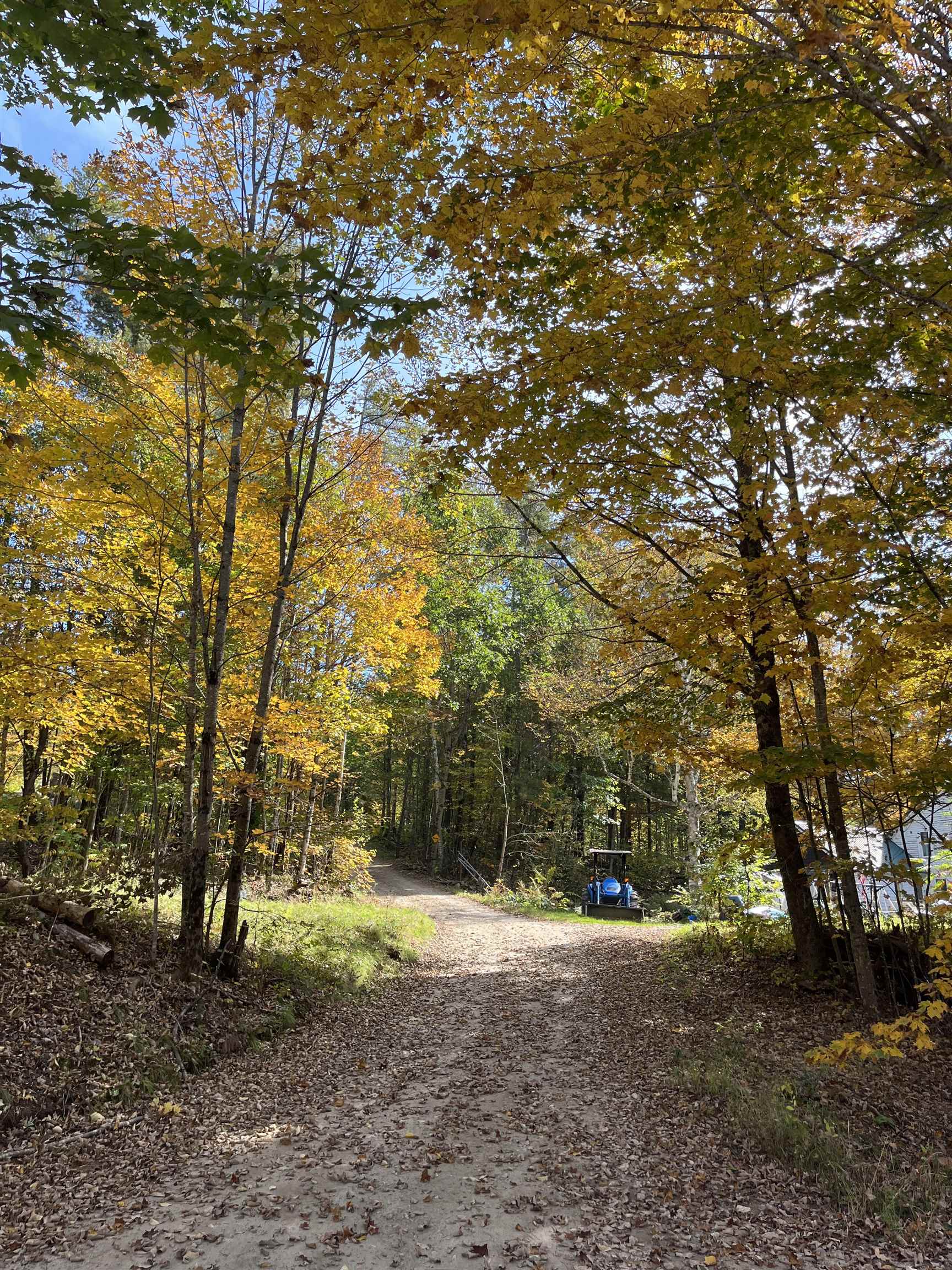 180 East Side Road Wentworth, NH 03282 - Photo 24 of 37