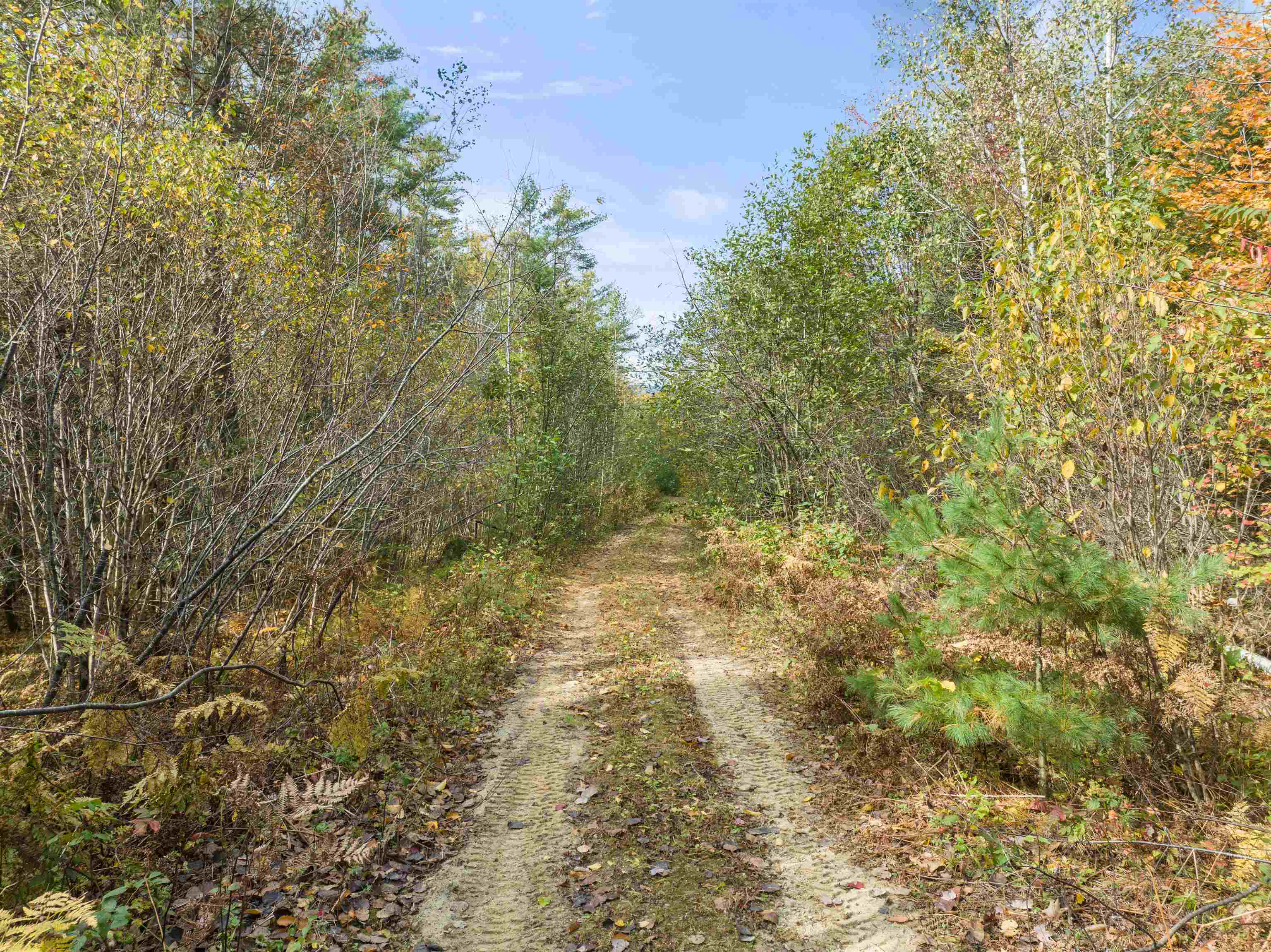 180 East Side Road Wentworth, NH 03282 - Photo 28 of 37