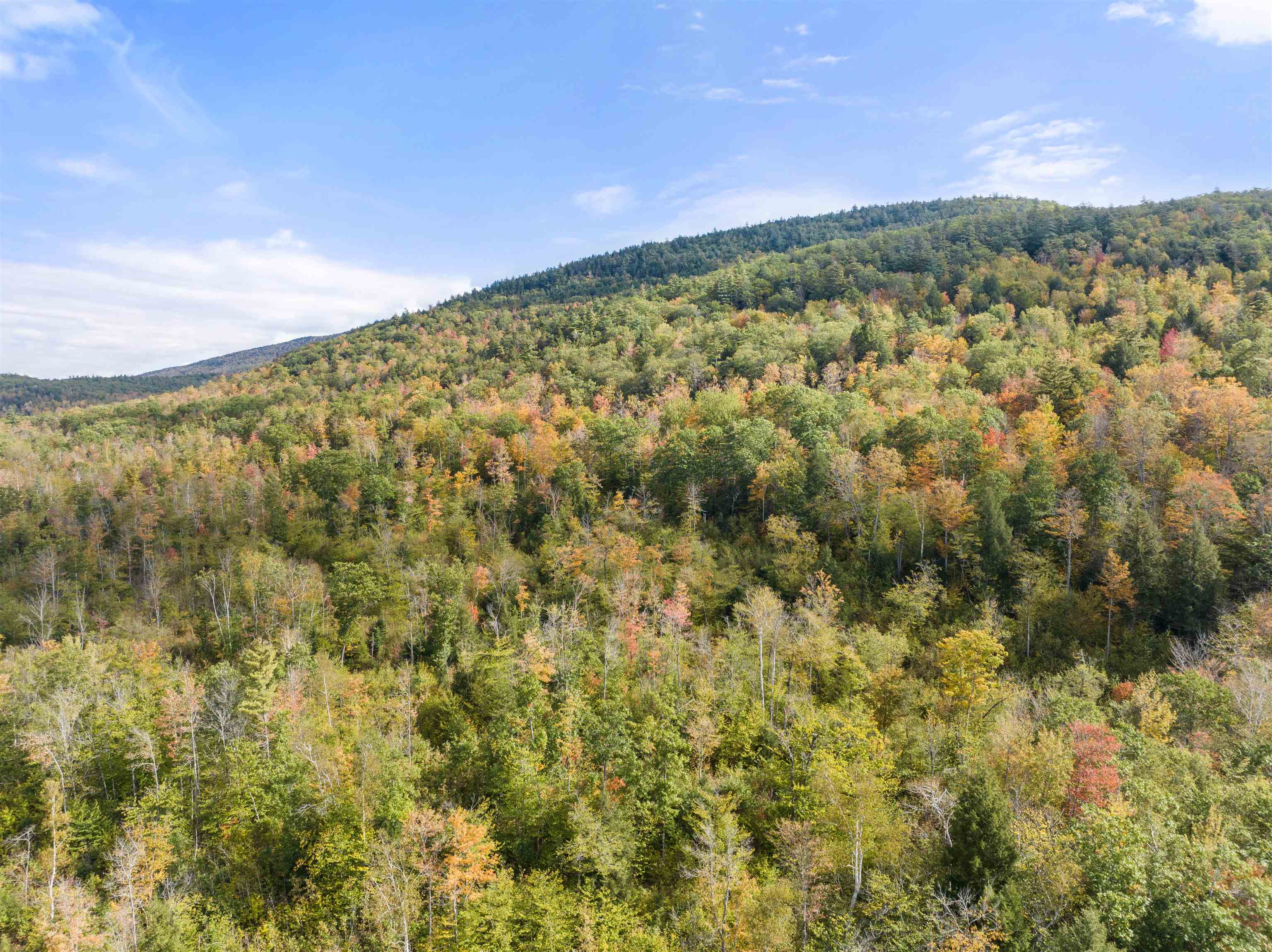 180 East Side Road Wentworth, NH 03282 - Photo 9 of 37