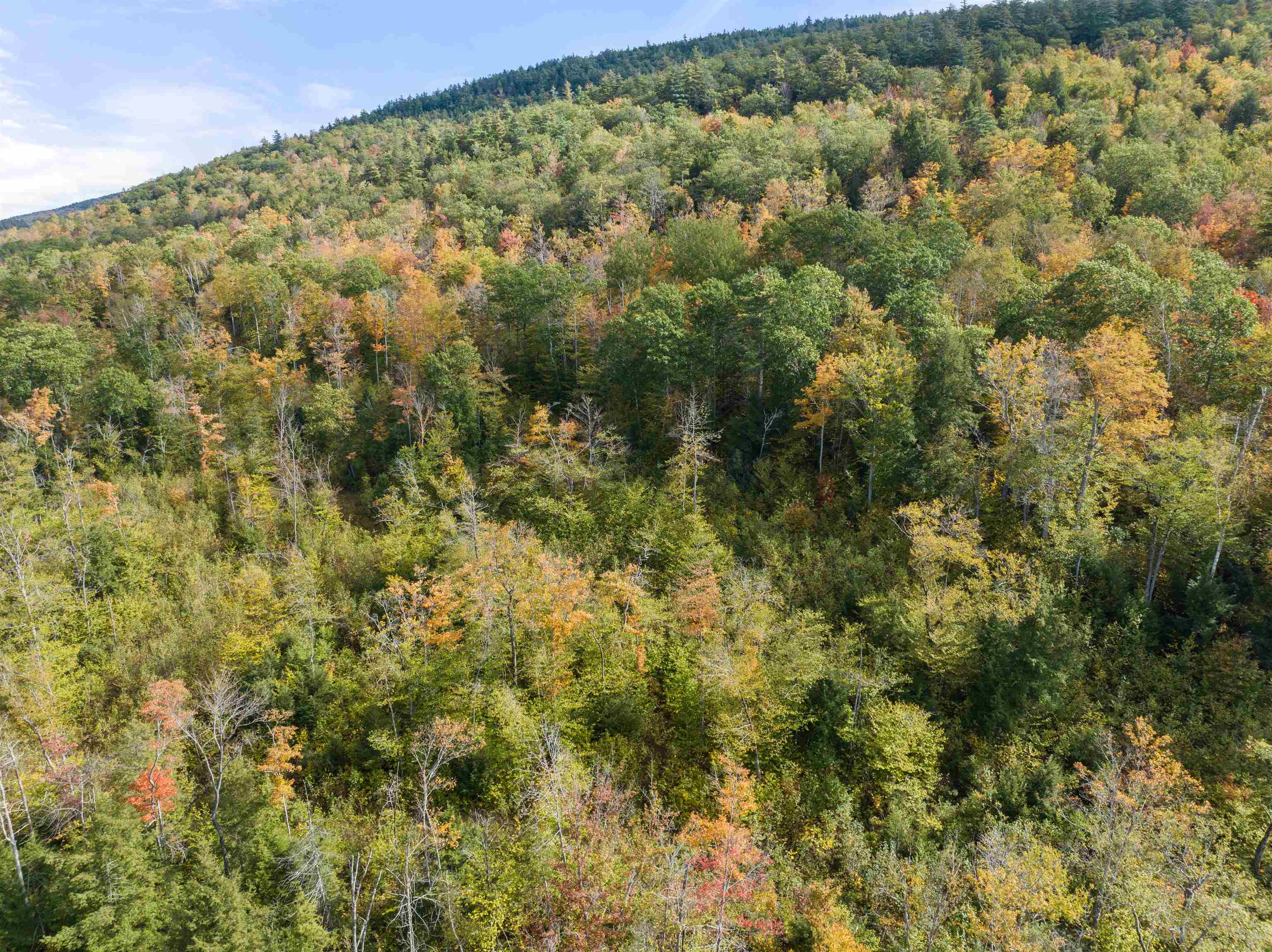 180 East Side Road Wentworth, NH 03282 - Photo 10 of 37