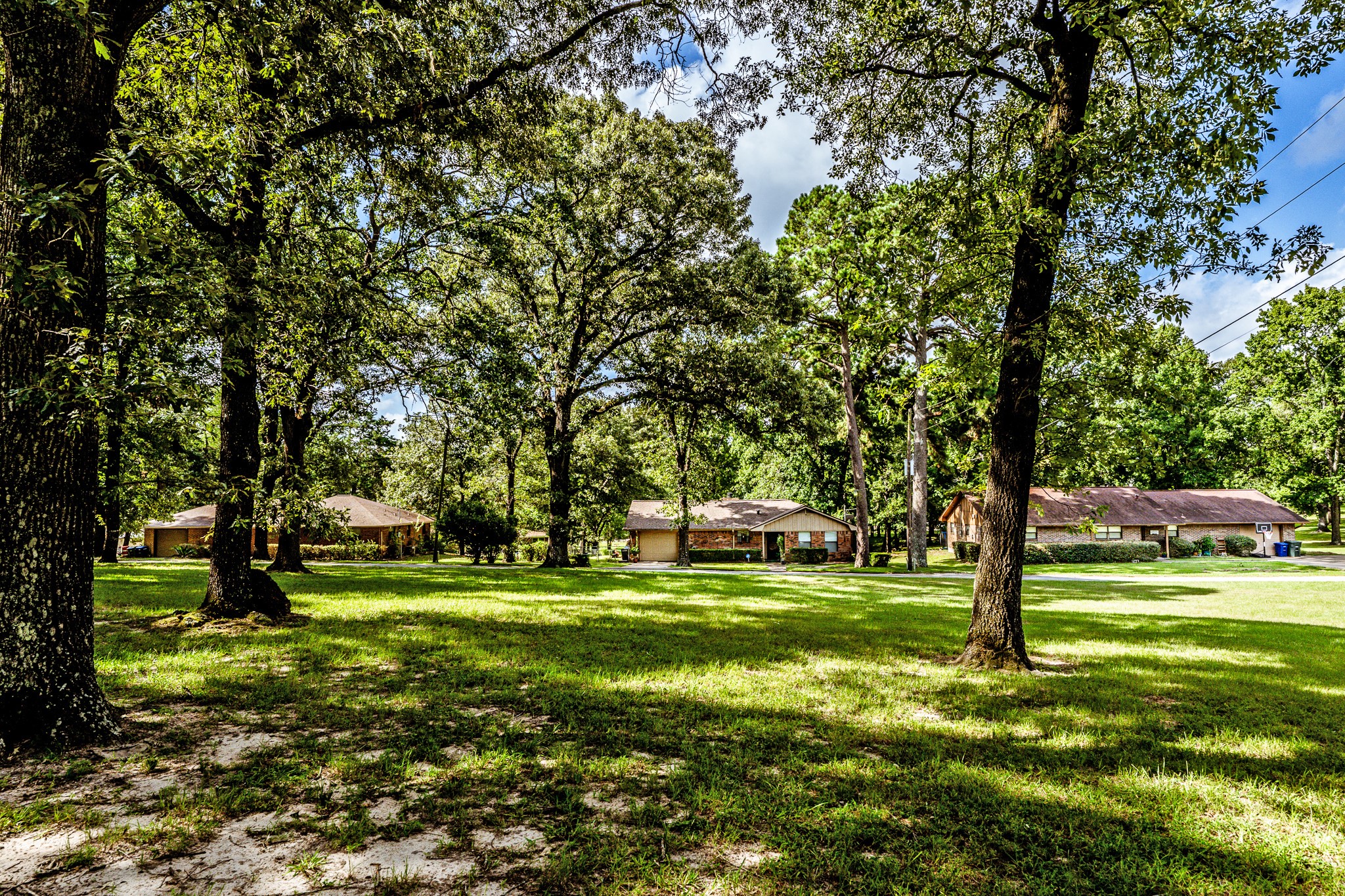 3304 Parr Drive Huntsville, TX 77320 - Photo 1 of 40 a view of a park with large trees