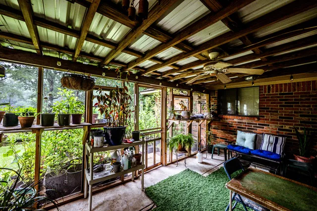 a room with lots of furniture and a potted plant