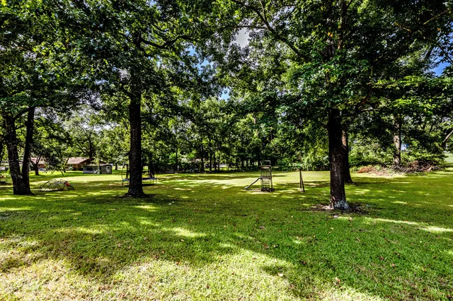 a view of yard with trees