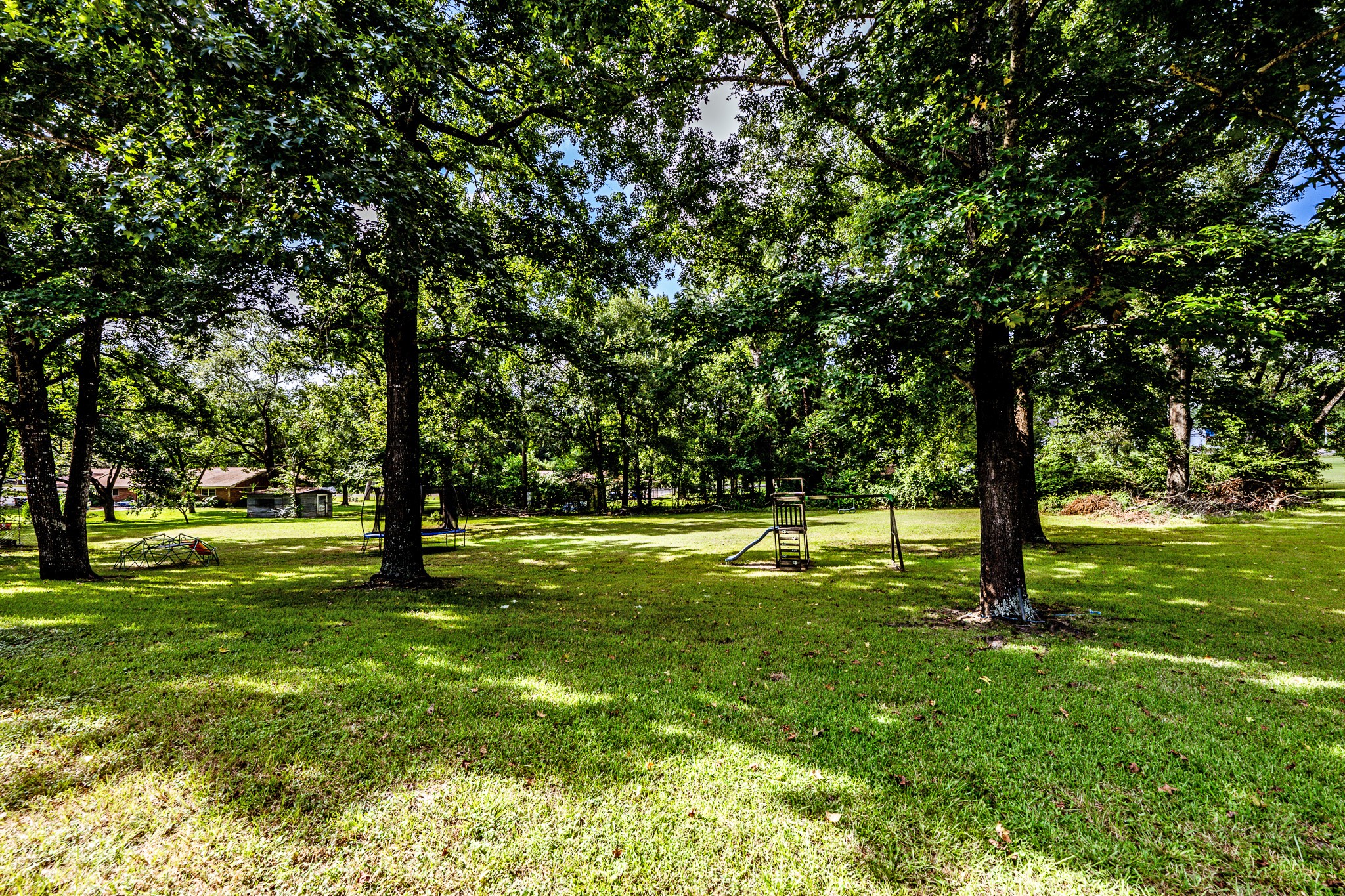 3304 Parr Drive Huntsville, TX 77320 - Photo 3 of 40 a view of yard with trees