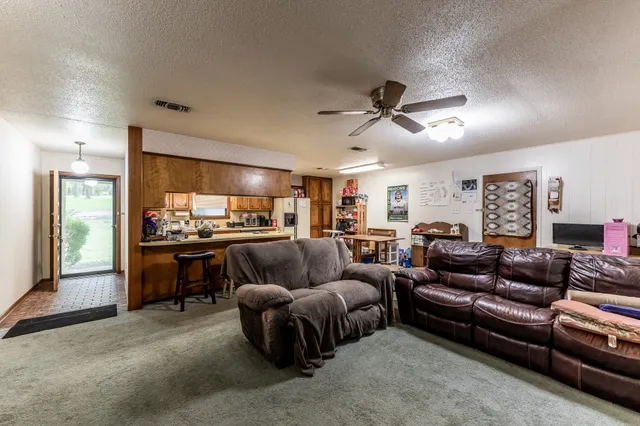 a living room with furniture ceiling fan and a rug
