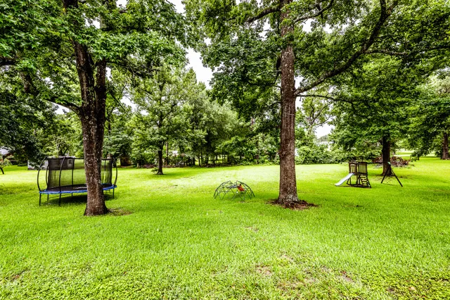 a view of a trees with a park