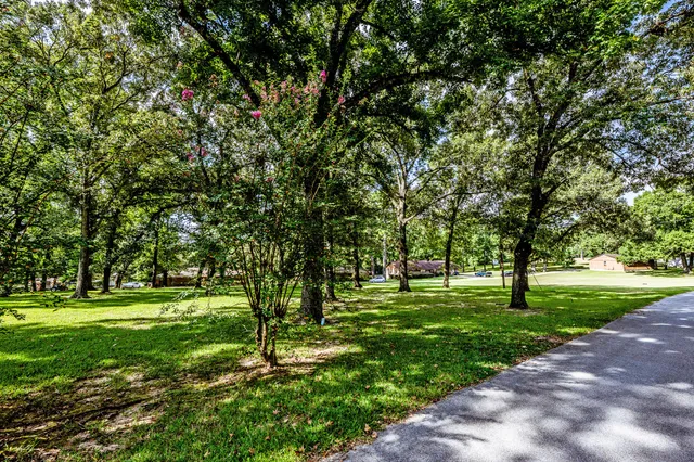a big yard with lots of green space and trees