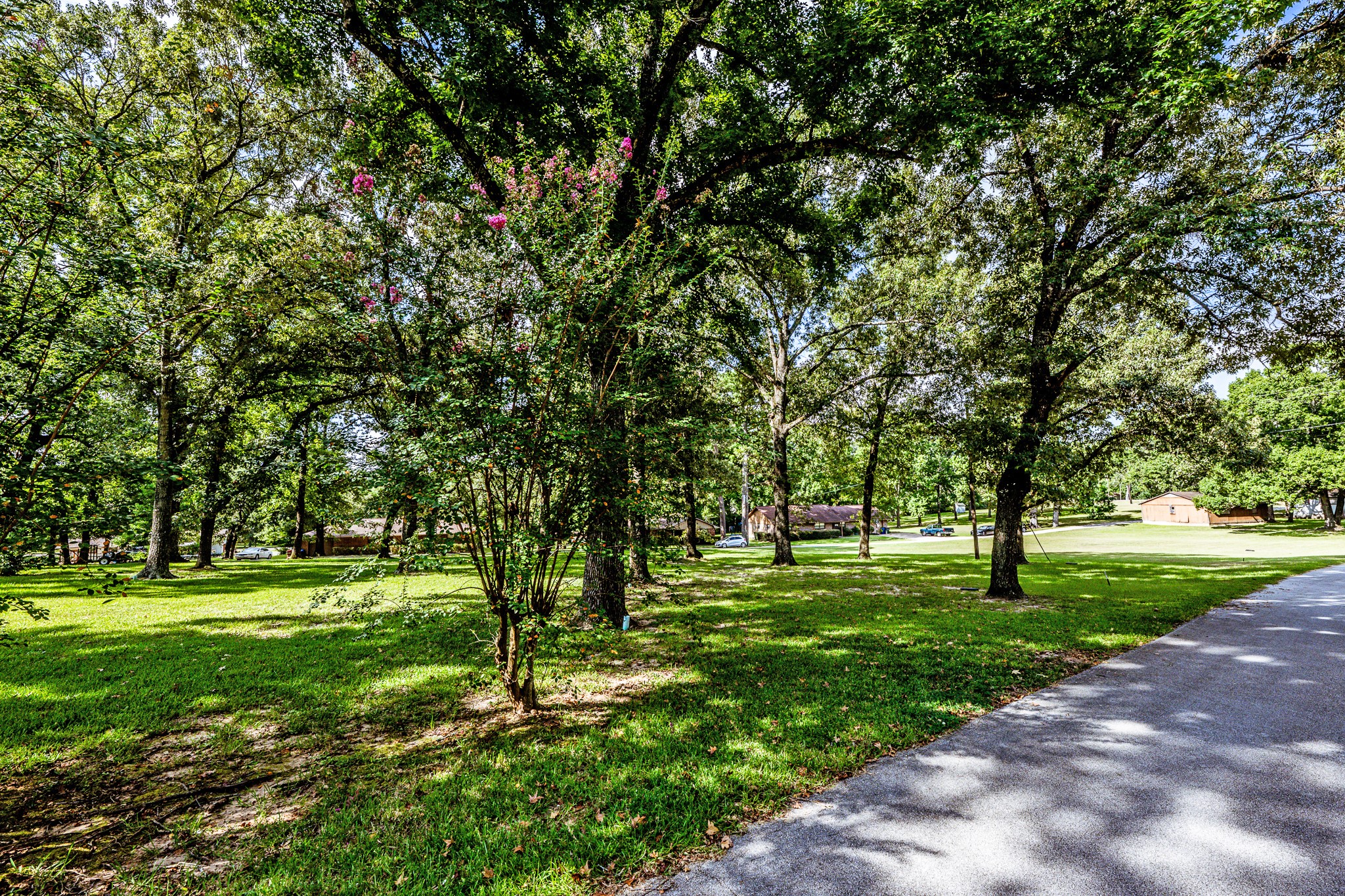 3304 Parr Drive Huntsville, TX 77320 - Photo 40 of 40 a big yard with lots of green space and trees