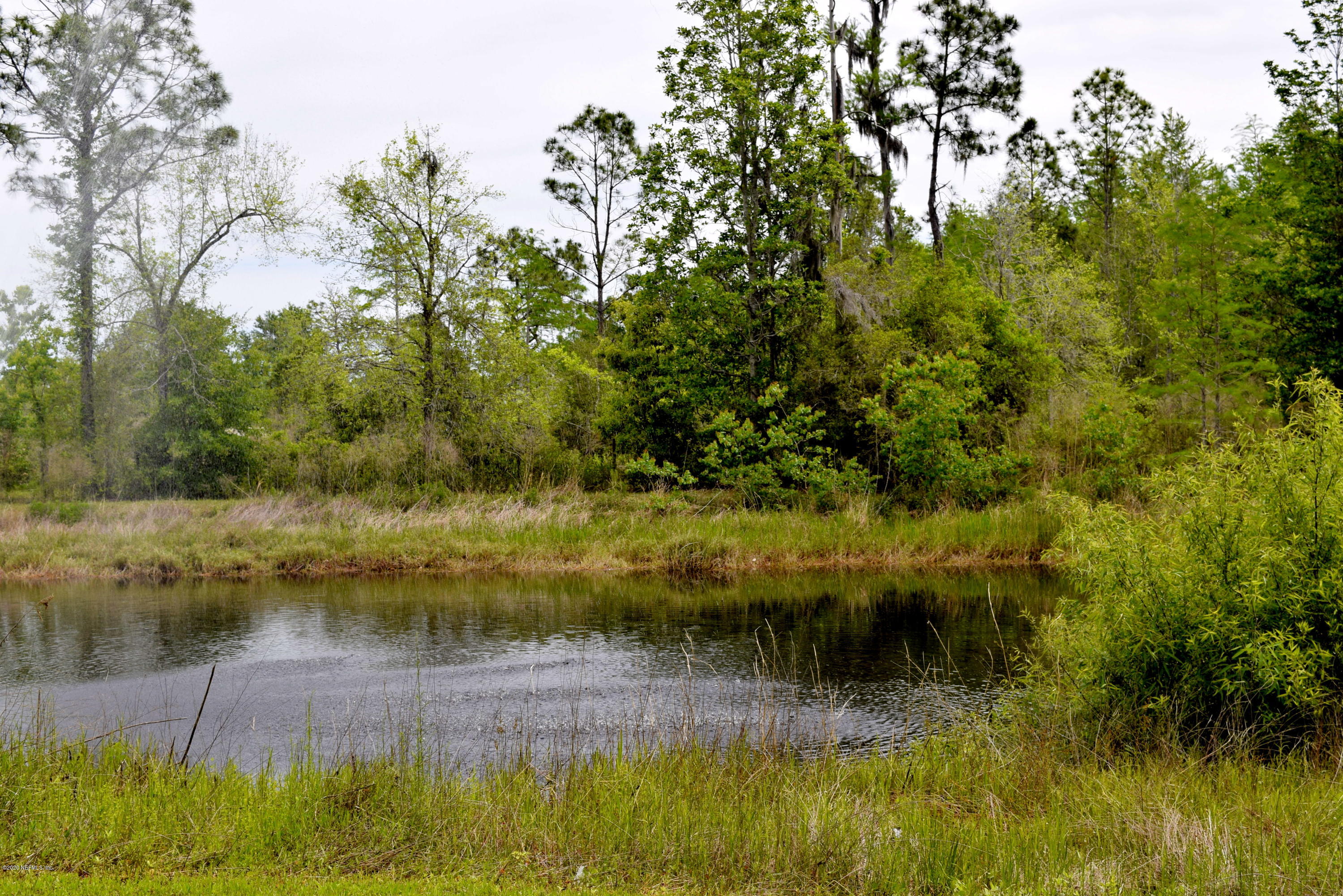 1988 Courson Road Middleburg, FL 32068 - Photo 54 of 61 59