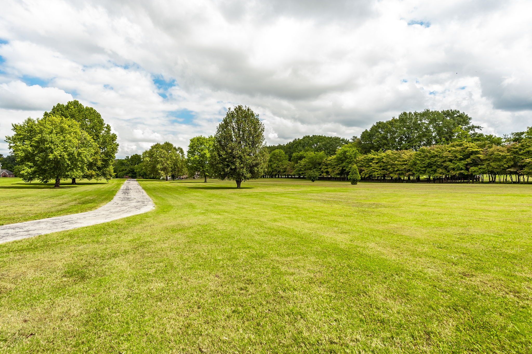 117 East Robertson Road Castalian Springs, TN 37031 - Photo 17 of 74 Gallery Image 17
