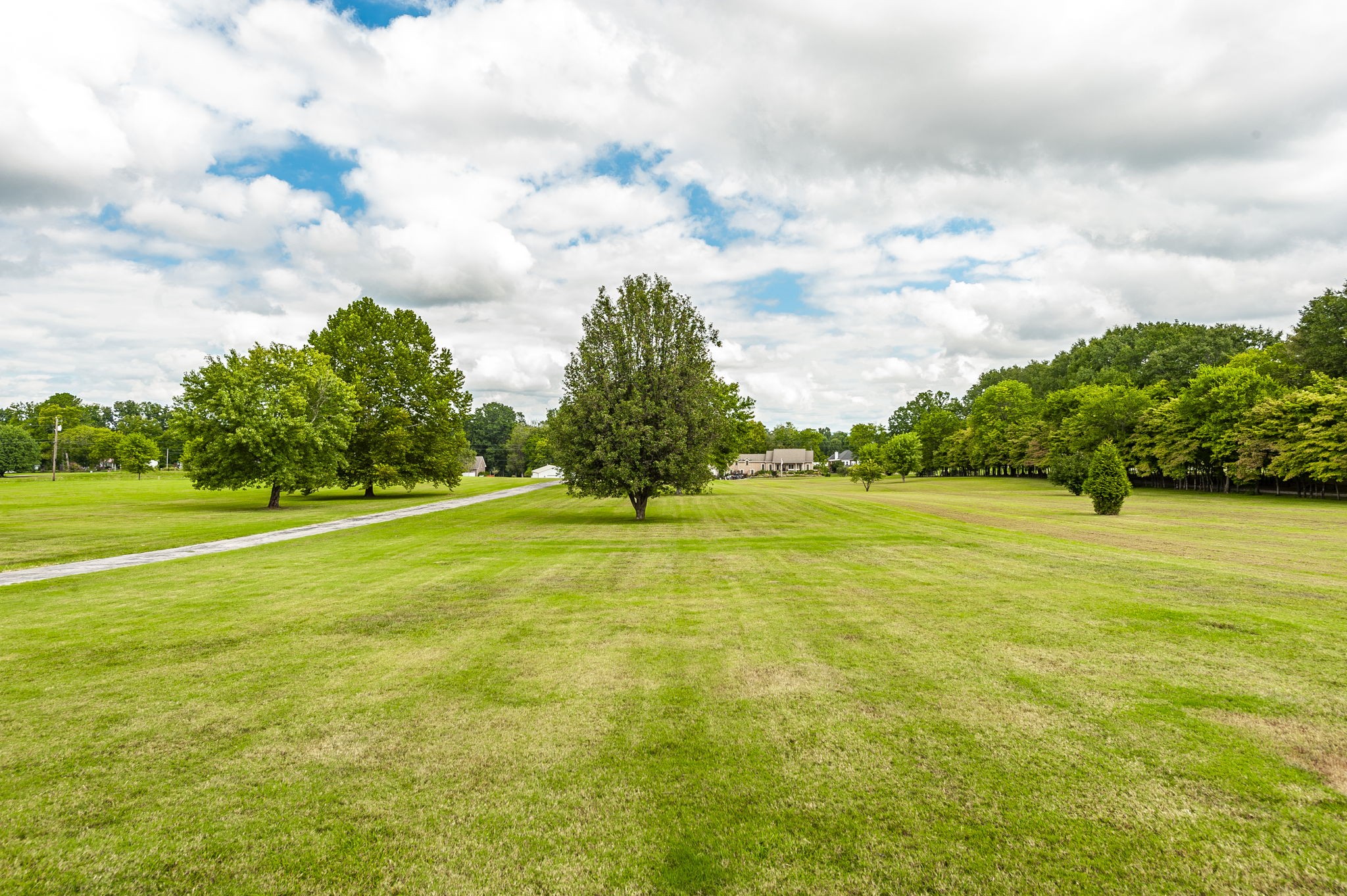 117 East Robertson Road Castalian Springs, TN 37031 - Photo 23 of 74 Gallery Image 23