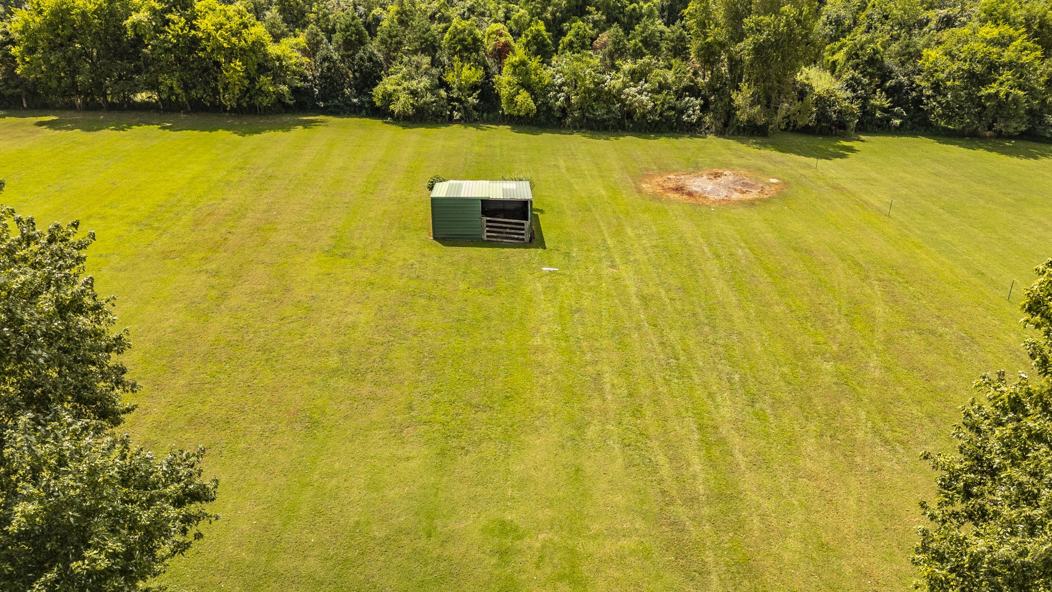 117 East Robertson Road Castalian Springs, TN 37031 - Photo 8 of 74 Gallery Image 8