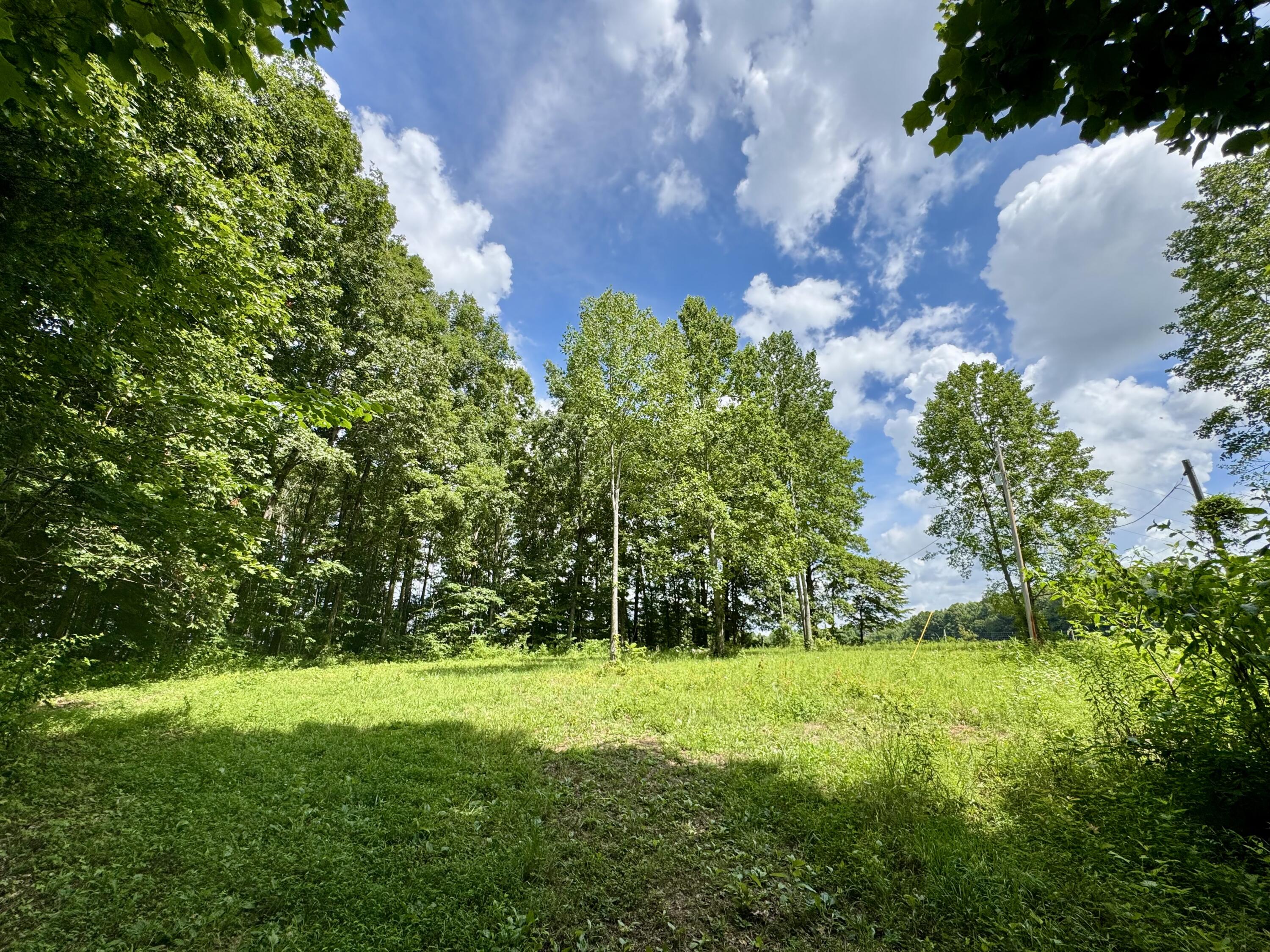 3280 Ewing Ridge Road Dunnville, KY 42528 - Photo 28 of 40 IMG_3995