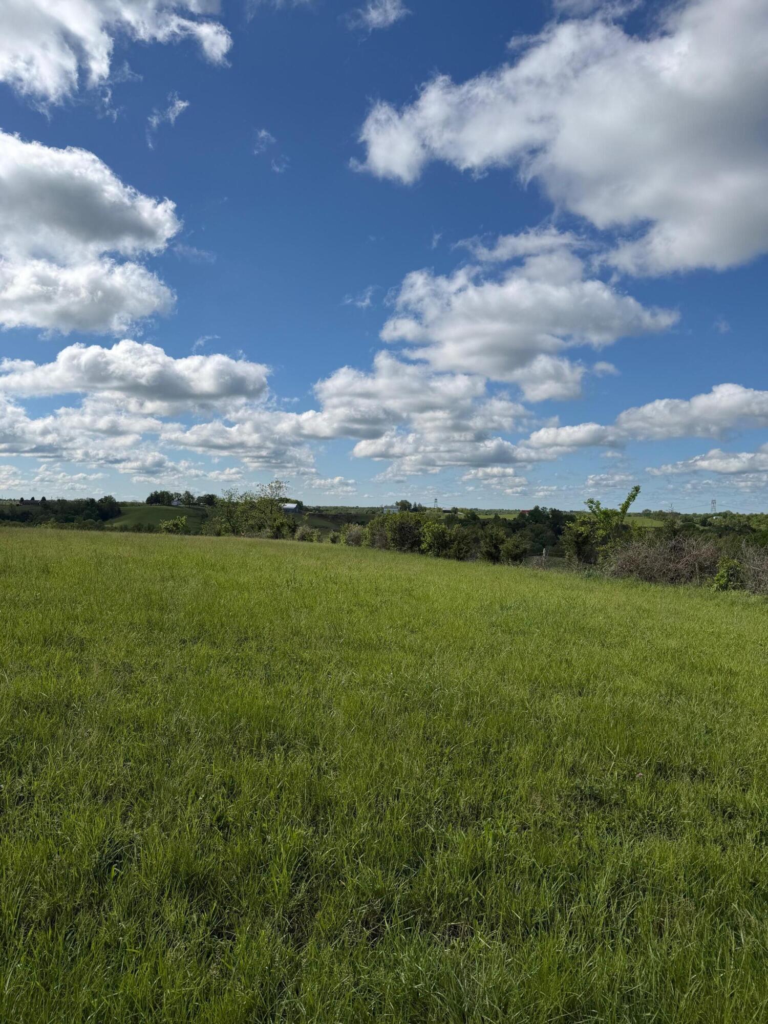 14.17-ac Chipman Ridge Road Williamstown, KY 41097 - Photo 12 of 18