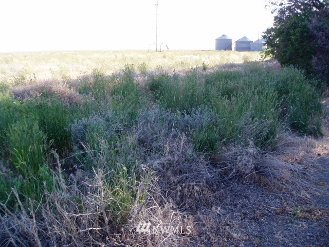 850 Highway 21 Ritzville, WA 99169 - Photo 14 of 14