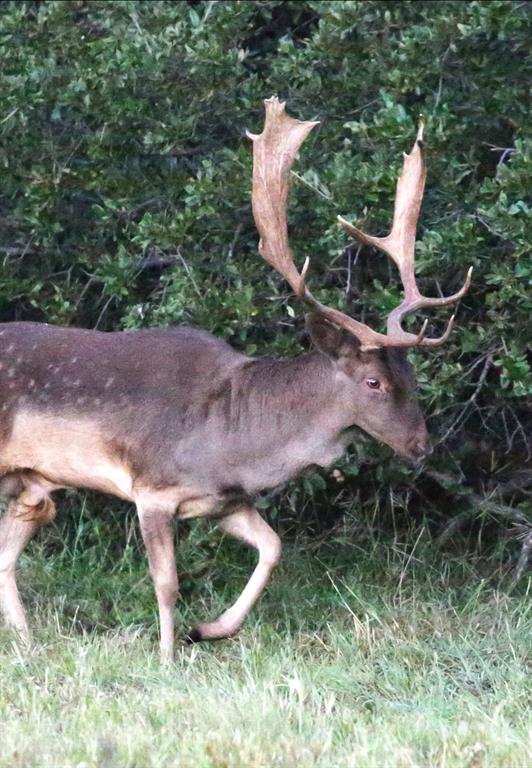 114 County Road 114 Road Mingus, TX 76463 - Photo 5 of 8 a aerial view of a house with a yard and outdoor seating