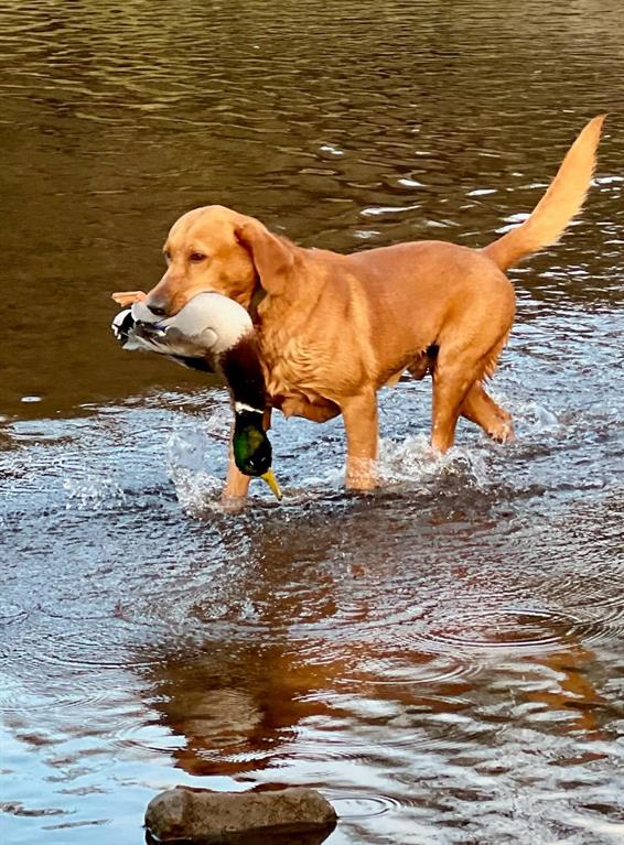 114 County Road 114 Road Mingus, TX 76463 - Photo 6 of 8 a view of ocean view