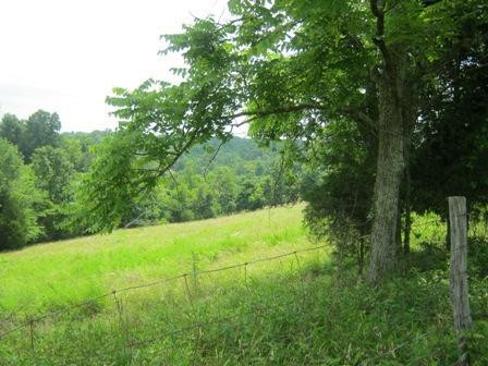 1354 Birdie Road Lawrenceburg, KY 40342 - Photo 31 of 55 Photo 31