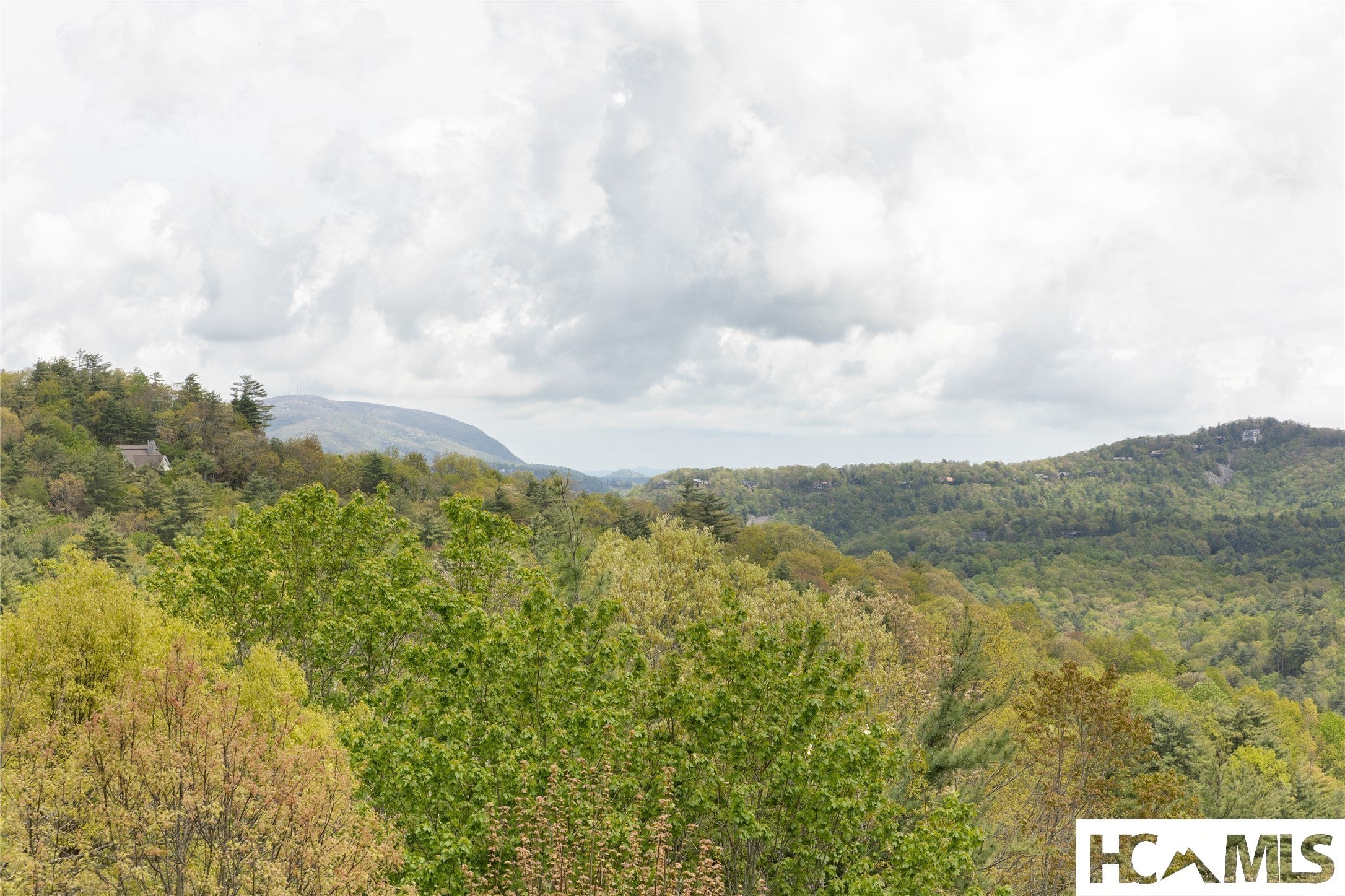 521 Sheepcote Road Cashiers, NC 28717 - Photo 46 of 97 Gallery Image 46