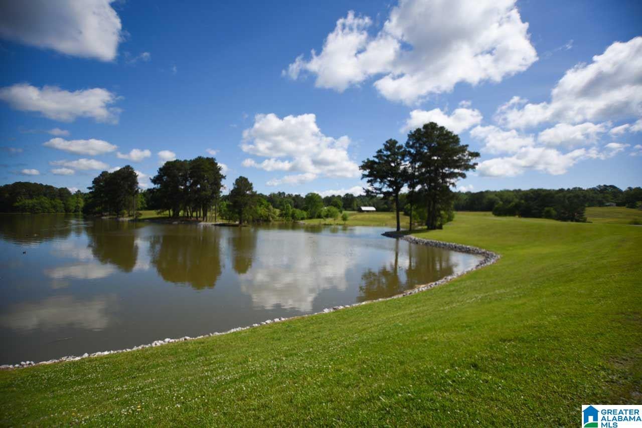 1641 Embry Bend Road Lincoln, AL 35096 - Photo 4 of 50 Gallery Image 4