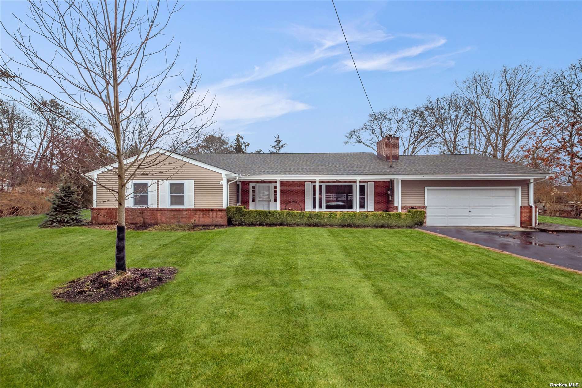 a front view of house with yard and green space