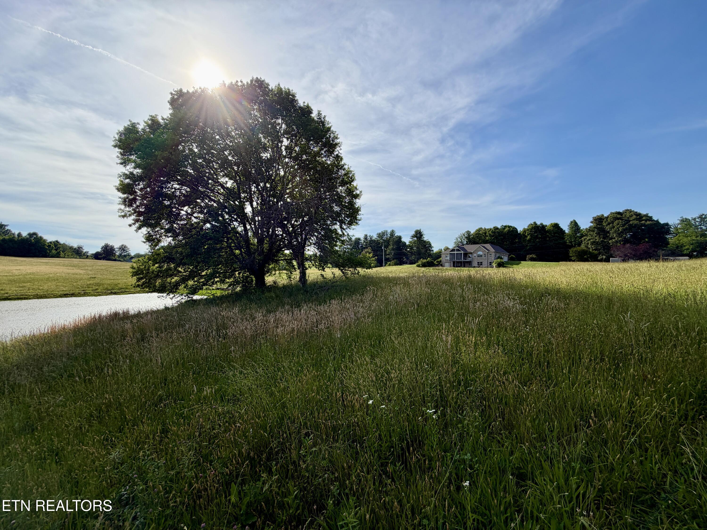 1770 Buffalo Road Oneida, TN 37841 - Photo 51 of 57 66