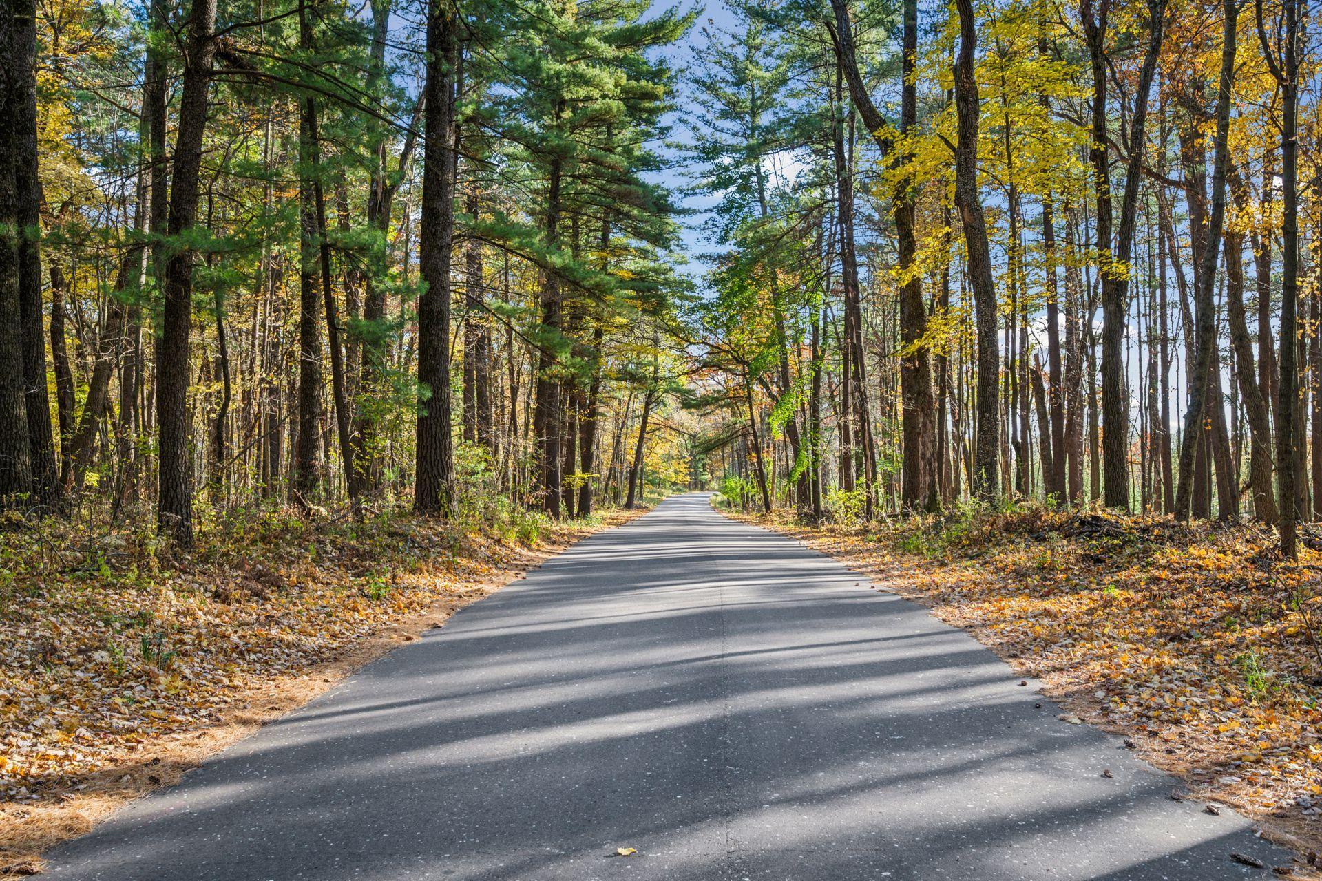 25407 Pigeon Loft Road Northeast Stacy, MN 55079 - Photo 5 of 35