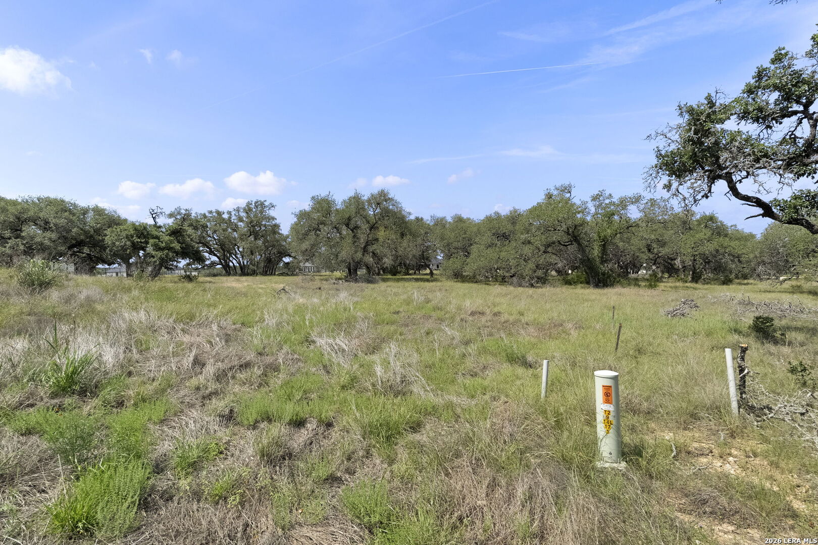 775 Green Gate View Bulverde, TX 78163 - Photo 10 of 31