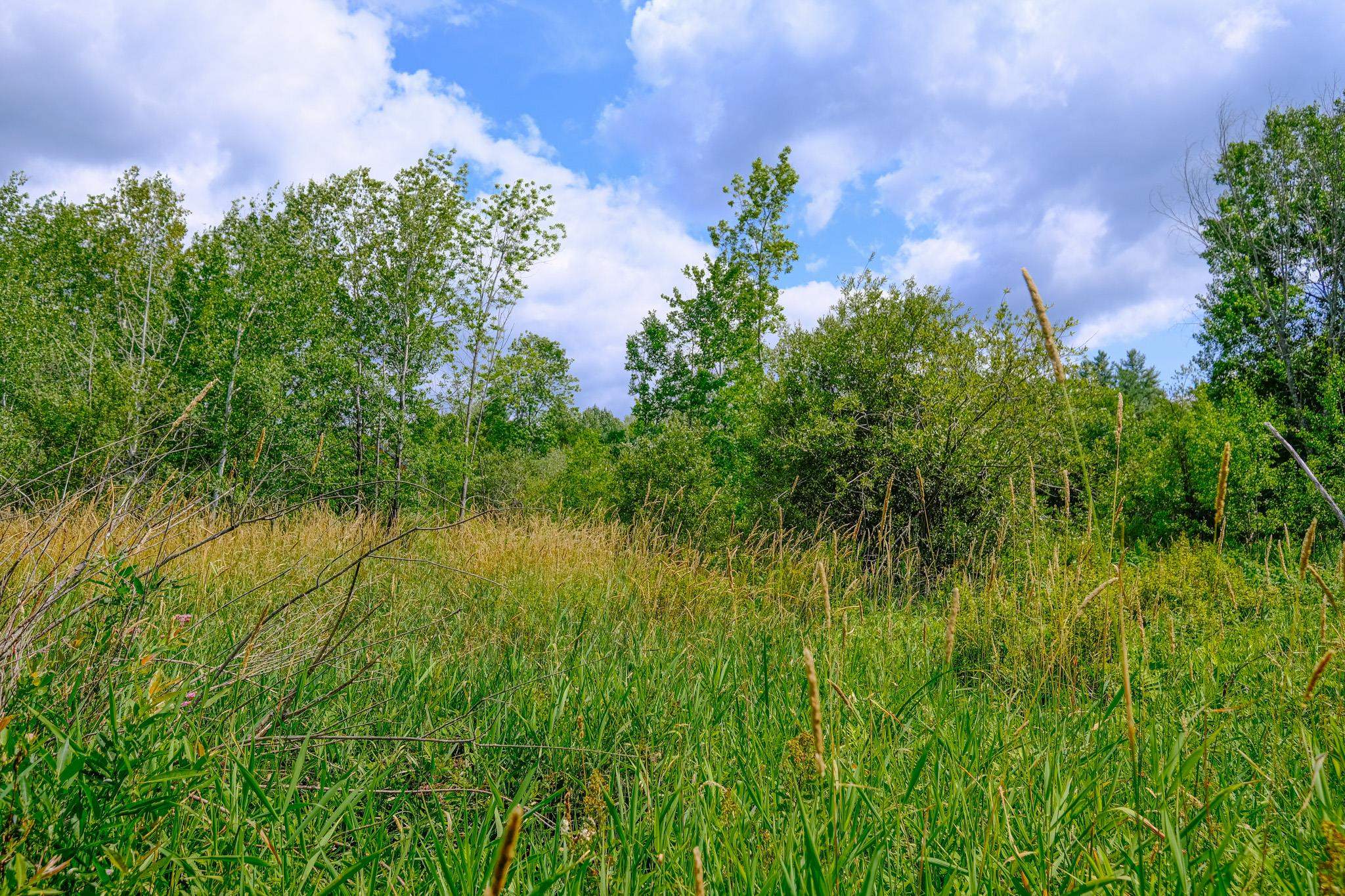 0 Town Farm Road, Unit LOT #26 Ludlow, VT 05149 - Photo 11 of 26