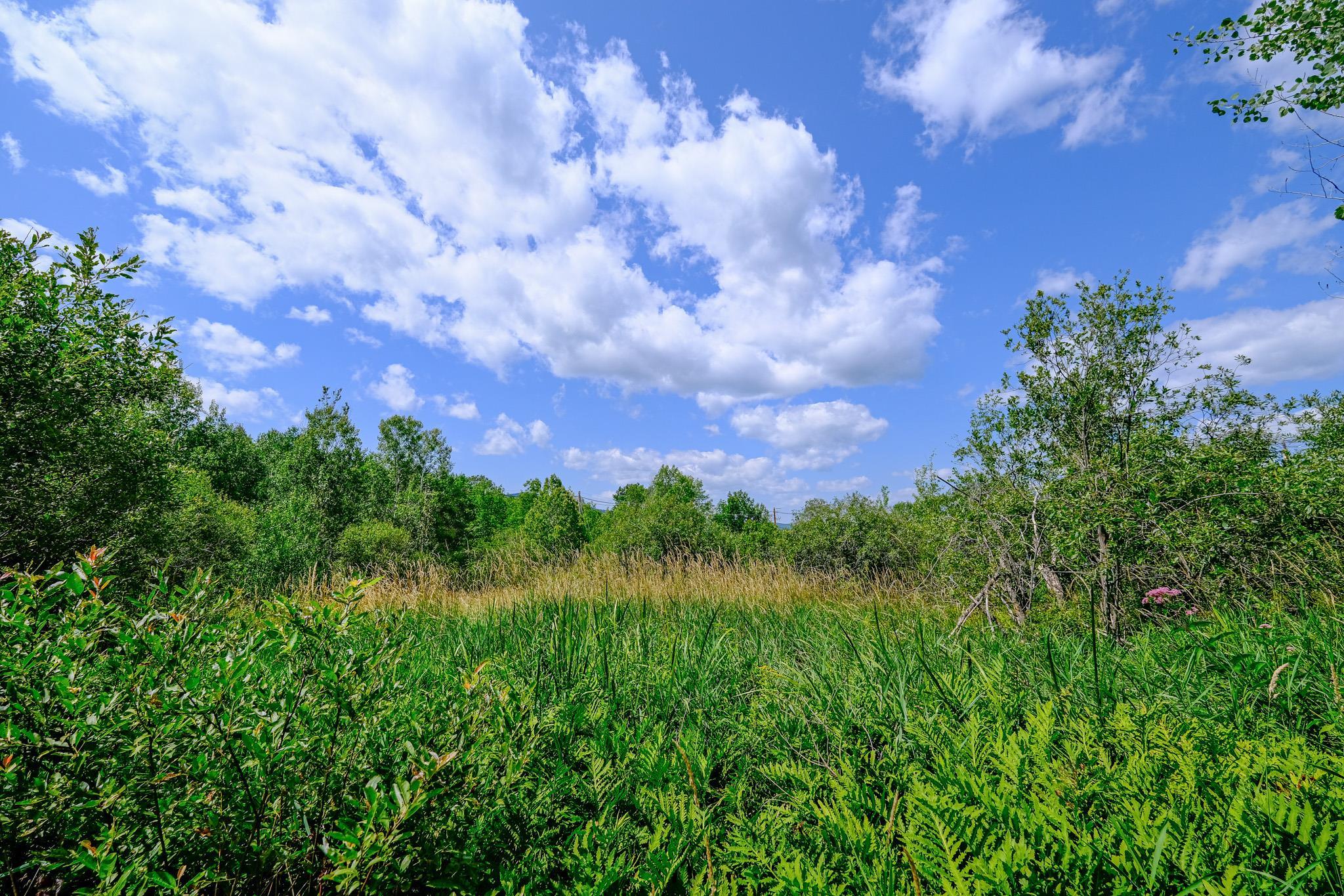 0 Town Farm Road, Unit LOT #26 Ludlow, VT 05149 - Photo 12 of 26