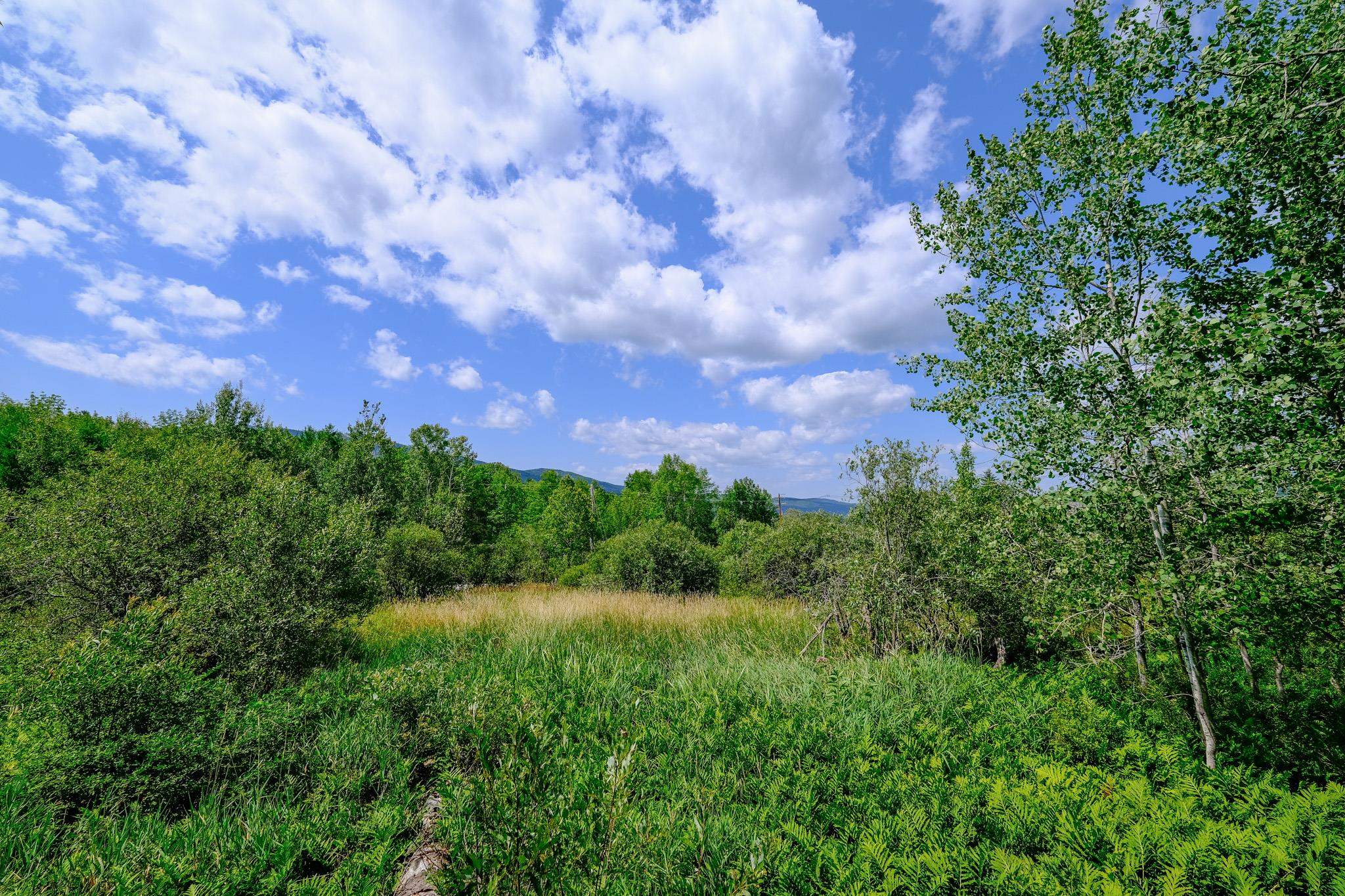 0 Town Farm Road, Unit LOT #26 Ludlow, VT 05149 - Photo 13 of 26