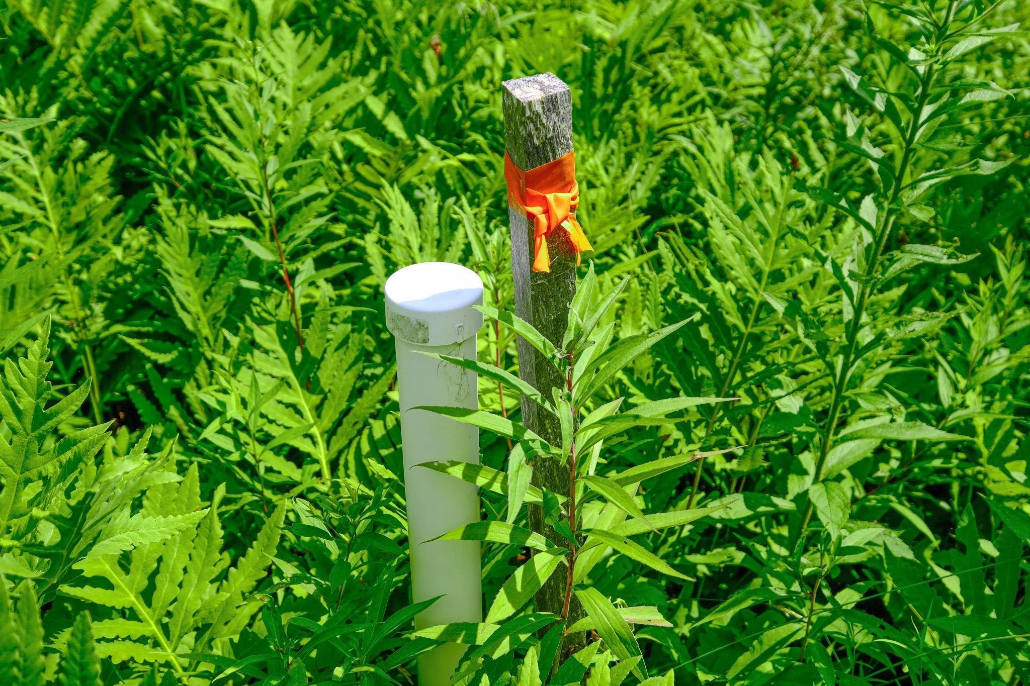 0 Town Farm Road, Unit LOT #26 Ludlow, VT 05149 - Photo 15 of 26