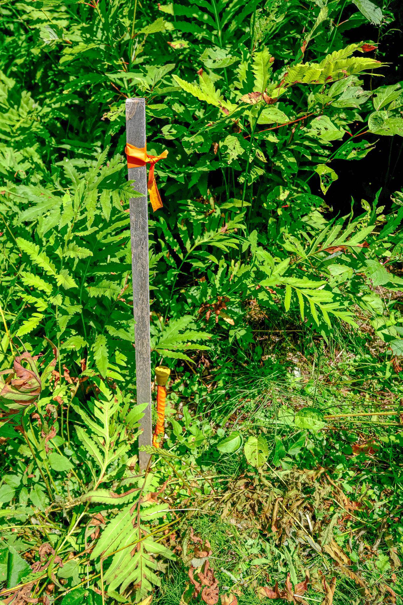 0 Town Farm Road, Unit LOT #26 Ludlow, VT 05149 - Photo 8 of 26