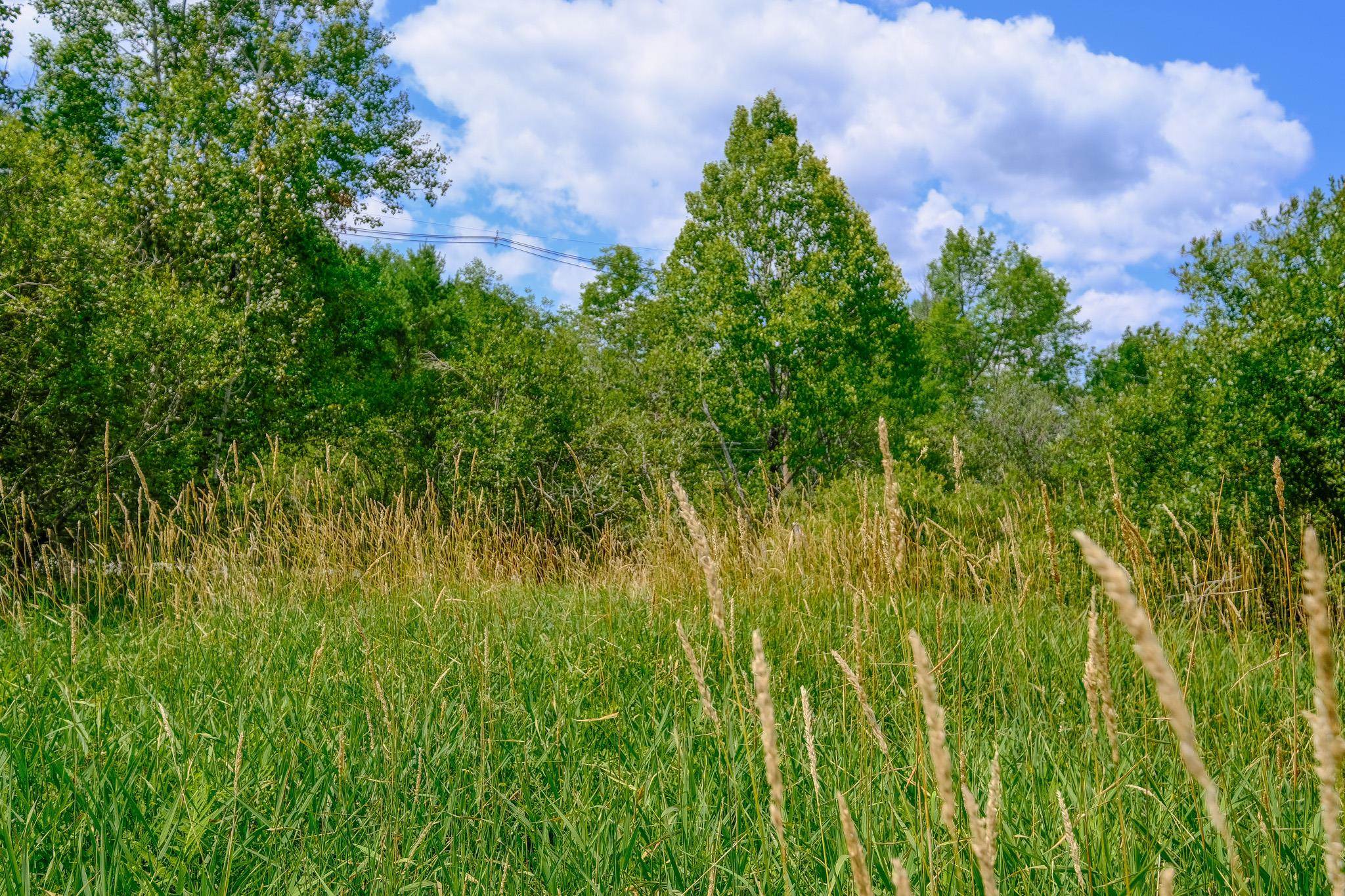 0 Town Farm Road, Unit LOT #26 Ludlow, VT 05149 - Photo 10 of 26