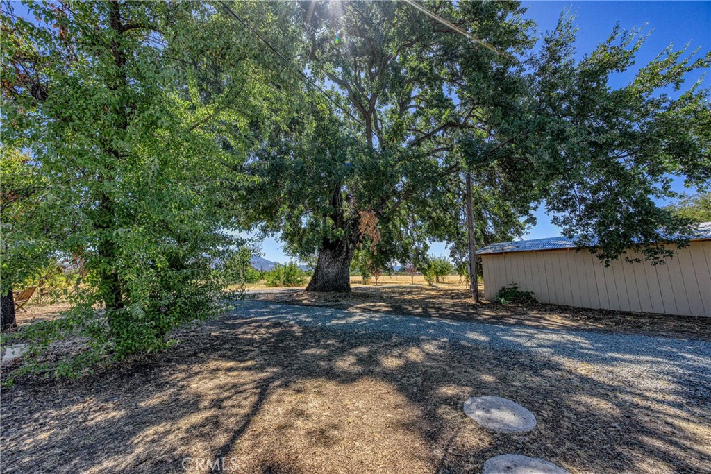 1980 Big Valley Road Lakeport, CA 95453 - Photo 46 of 56 a view of a outdoor space with trees