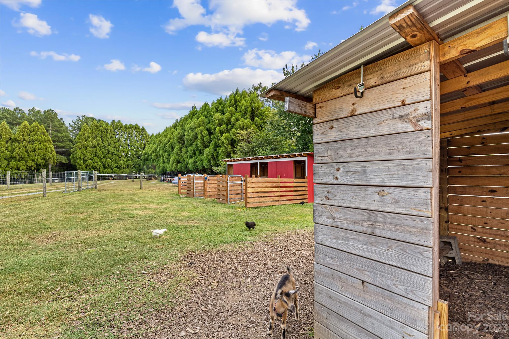 1131 Sikes Mill Road Monroe, NC 28110 - Photo 33 of 43 a backyard of a house with lots of green space