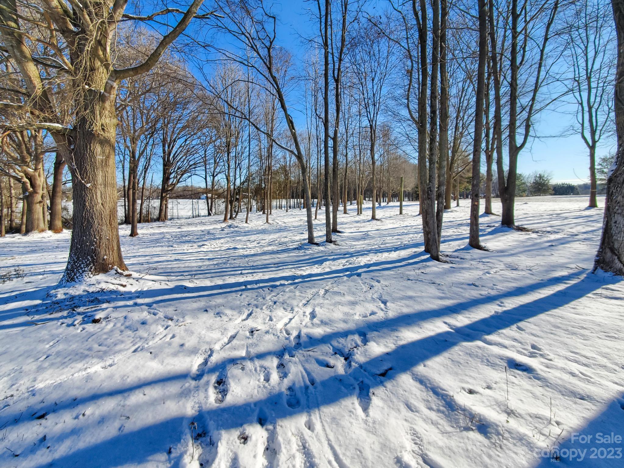 1131 Sikes Mill Road Monroe, NC 28110 - Photo 41 of 43 a view of a yard with a house and trees
