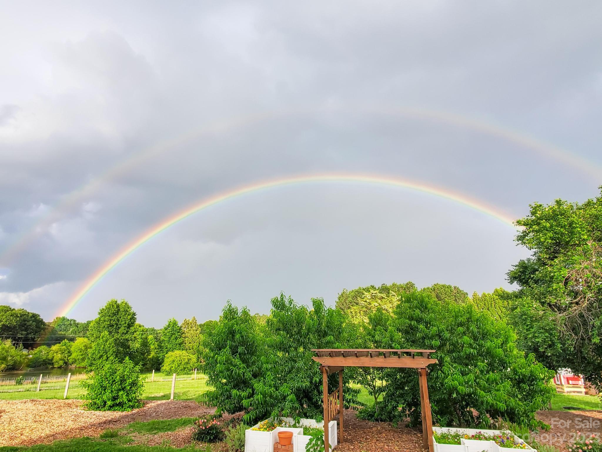 1131 Sikes Mill Road Monroe, NC 28110 - Photo 42 of 43 a view of a big yard