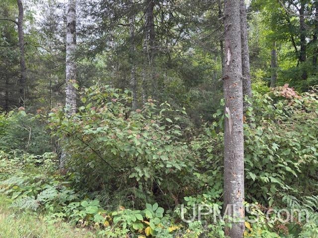 T-wi Loon Lake Road Florence, WI 54121 - Photo 12 of 27 Gallery Image 12