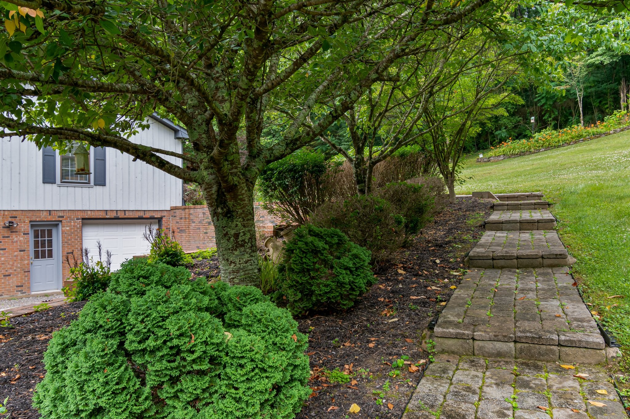 1111 Deer Lake Road Franklin, TN 37069 - Photo 4 of 53 a backyard of a house with lots of green space