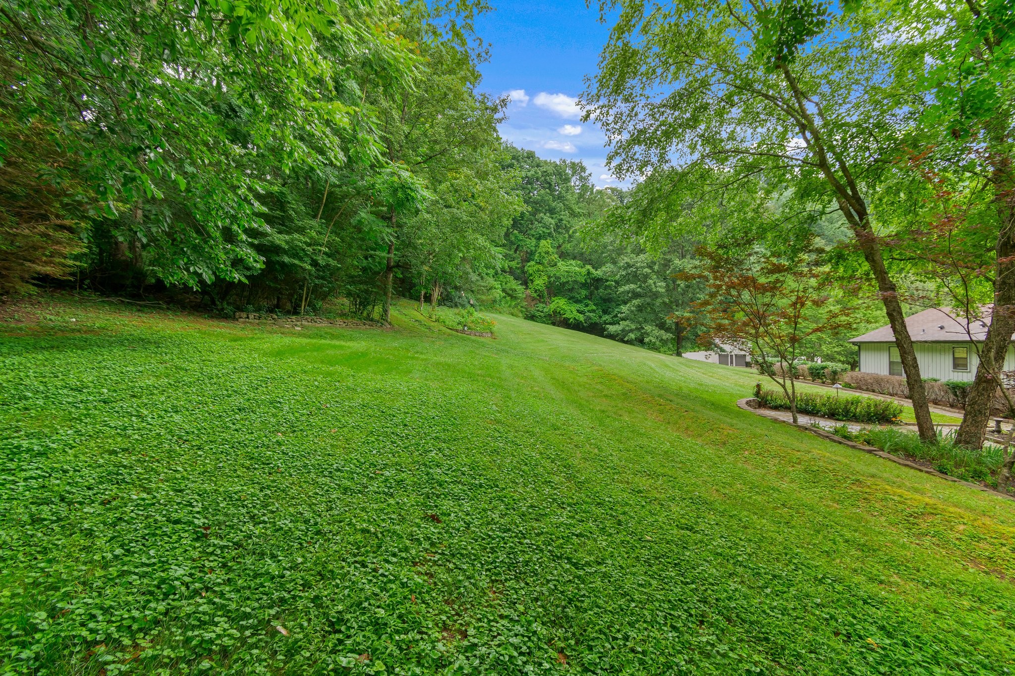 1111 Deer Lake Road Franklin, TN 37069 - Photo 8 of 53 a view of a lush green space