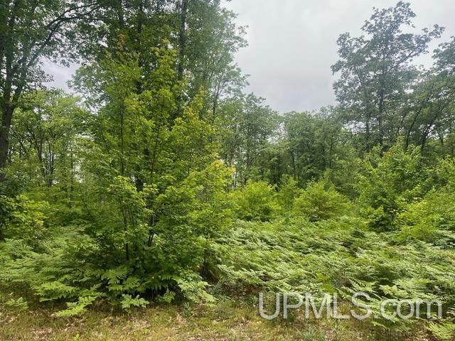 565 County Road 565 Road Gwinn, MI 49841 - Photo 25 of 35
