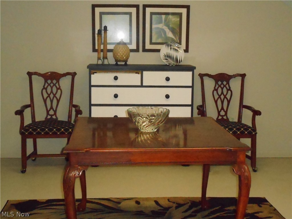 13851 Watt Road Novelty, OH 44072 - Photo 24 of 28 This lower level room could be an office, bedroom or whatever you need!