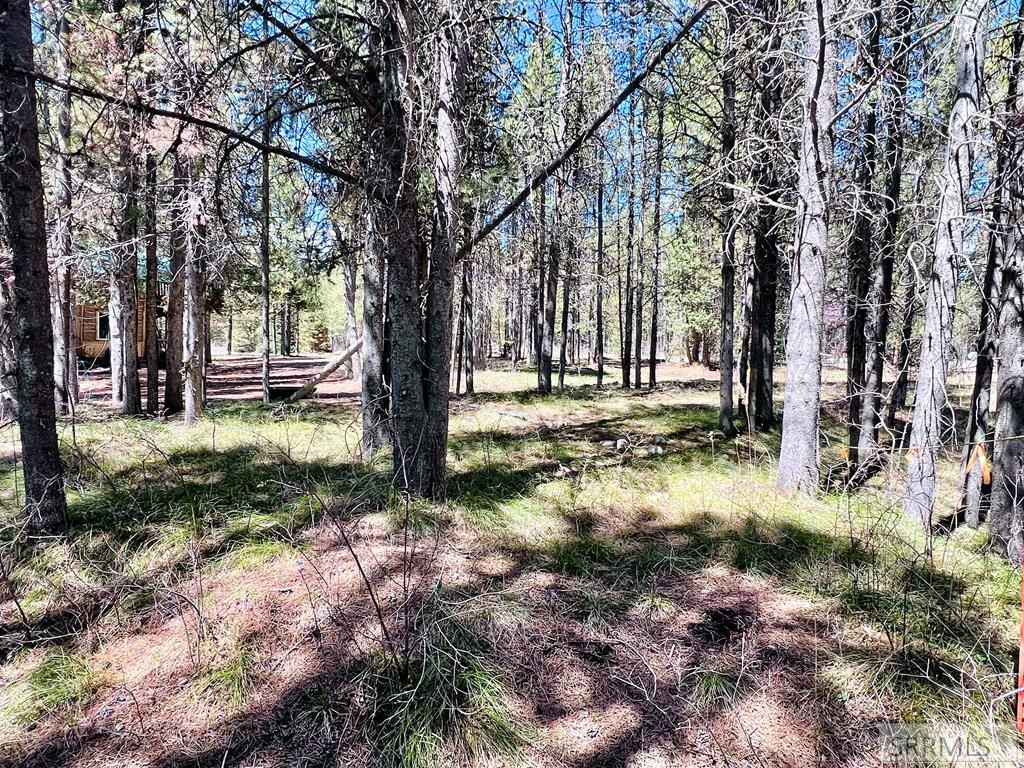 4066 Yale Creek Road Island Park, ID 83429 - Photo 9 of 23